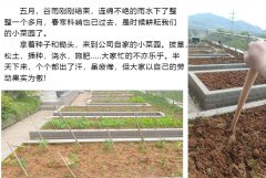 5.1劳动节快乐